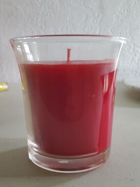Holiday Cinnamon Snap Candle 13 oz 60 hours clean burn Home Interiors New retire